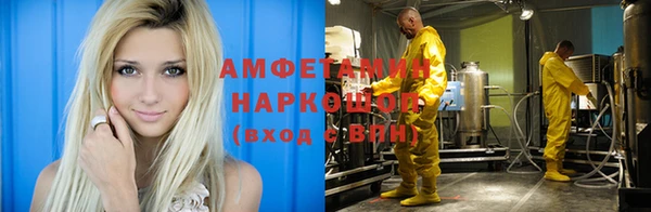 ПСИЛОЦИБИНОВЫЕ ГРИБЫ Магас