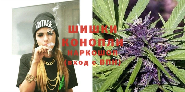 ПСИЛОЦИБИНОВЫЕ ГРИБЫ Магас