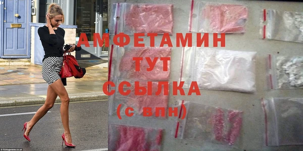 шишки Бердск