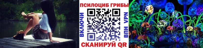 Псилоцибиновые грибы Cubensis  mega ссылки  Юхнов 
