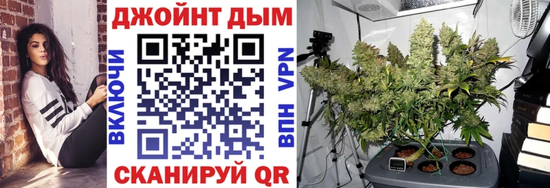 купить   Юхнов  Каннабис VHQ 